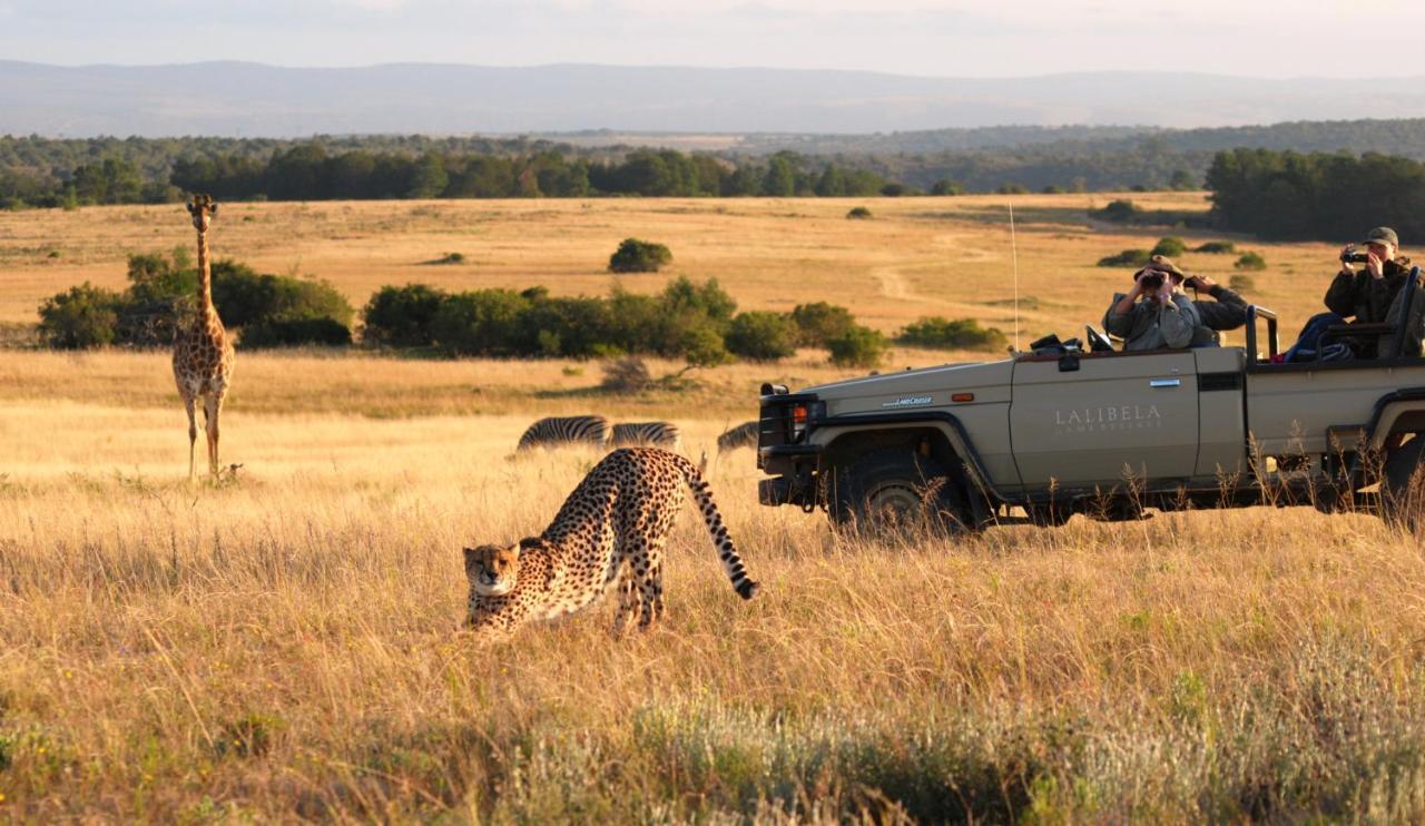 Lalibela Game Reserve - Kichaka Lodge Paterson Екстер'єр фото
